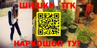 тгк Сланцы