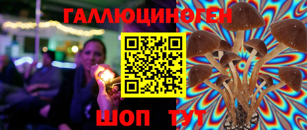цены   Галлюциногенные грибы мухоморы  Галлюциногенные грибы Psilocybe  Вход с VPN  Моздок 